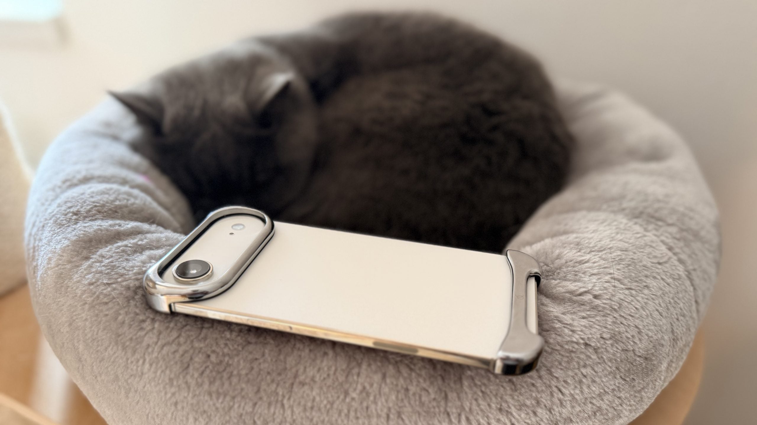 Motivul erorilor aplicațiilor pe iPhone după actualizare