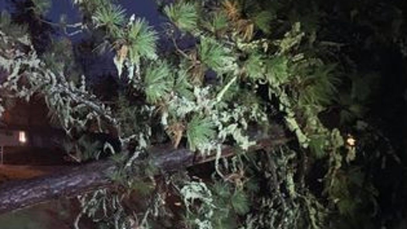 Vremea severă provoacă întârzieri la școli și închideri de drumuri în Oregon