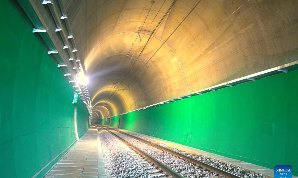 Chinese-built modern railway opens to traffic in Georgia-Xinhua