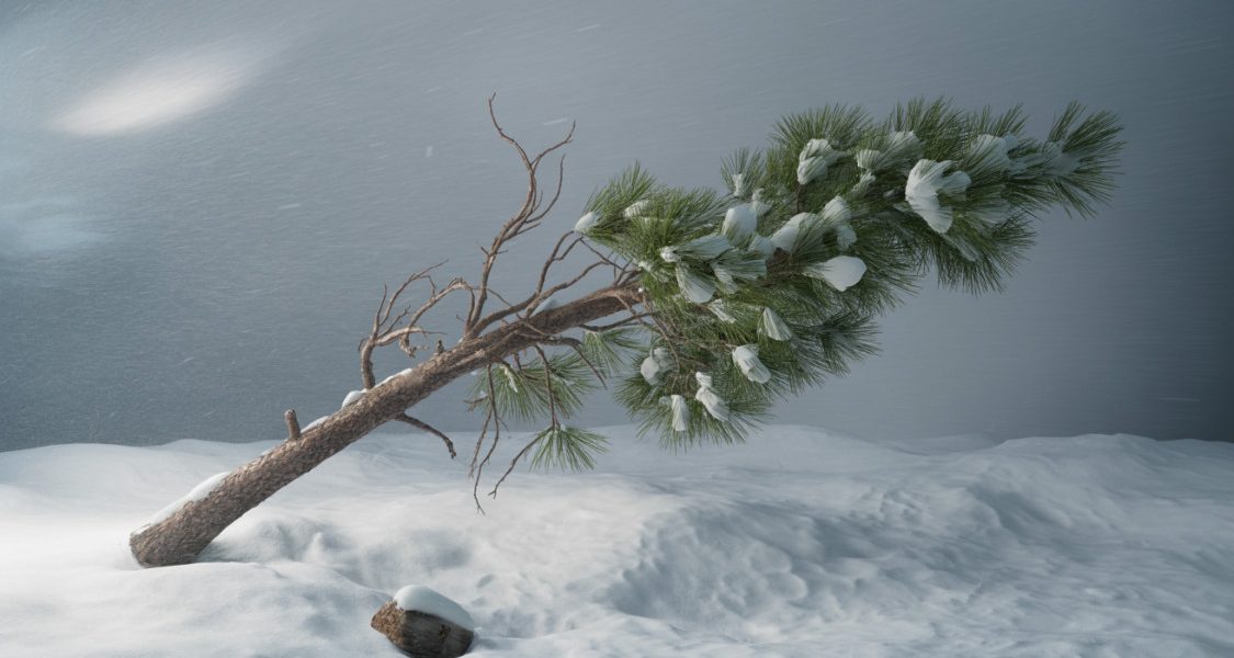 Tomboló ciklon tart Magyarország felé: északon 150 kilométer per órás széllökéseket is mértek