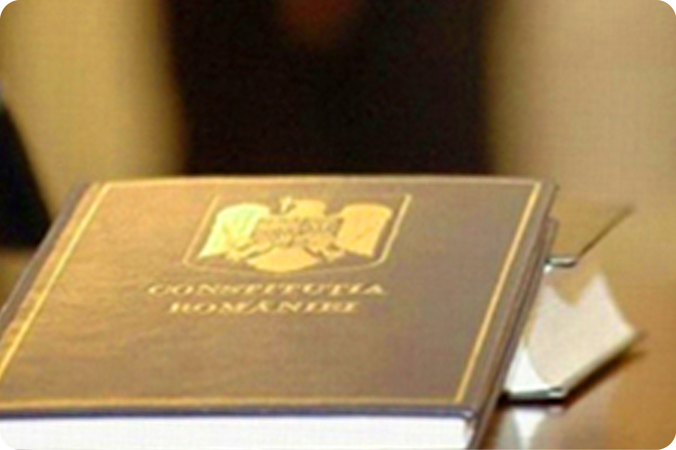 COMUNICAT DE PRESĂ, 28 decembrie 2025 – Curtea Constituțională a României