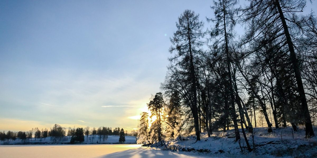 Solstițiul de iarnă 2025: Cea mai lungă noapte a anului. De când începe să crească durata zilei