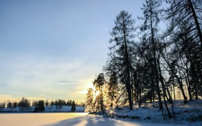 Solstițiul de iarnă 2025: Cea mai lungă noapte a anului. De când începe să crească durata zilei