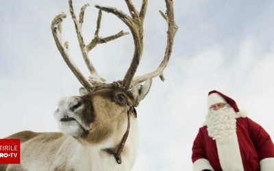 Urmărește în timp real traseul lui Moș Crăciun în jurul lumii. Unde aduce acum cadouri