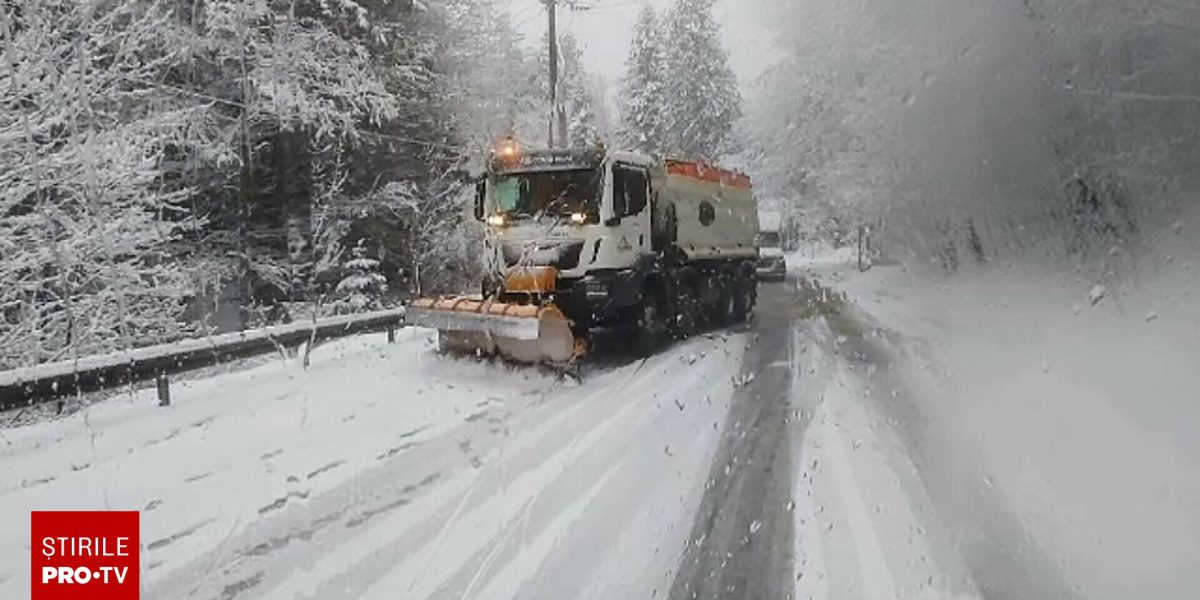 Ninge viscolit în munți: DRDP Craiova intervine cu utilaje, Oltenia sub cod galben de ninsori și vânt | Video