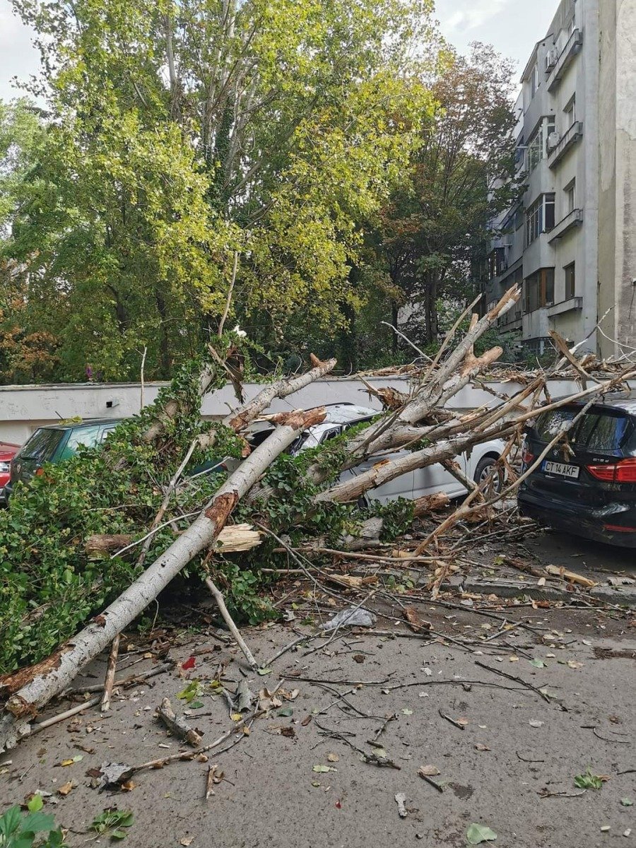 Avertizare meteo: Vânt puternic în Suceava, ceață densă în alte zone