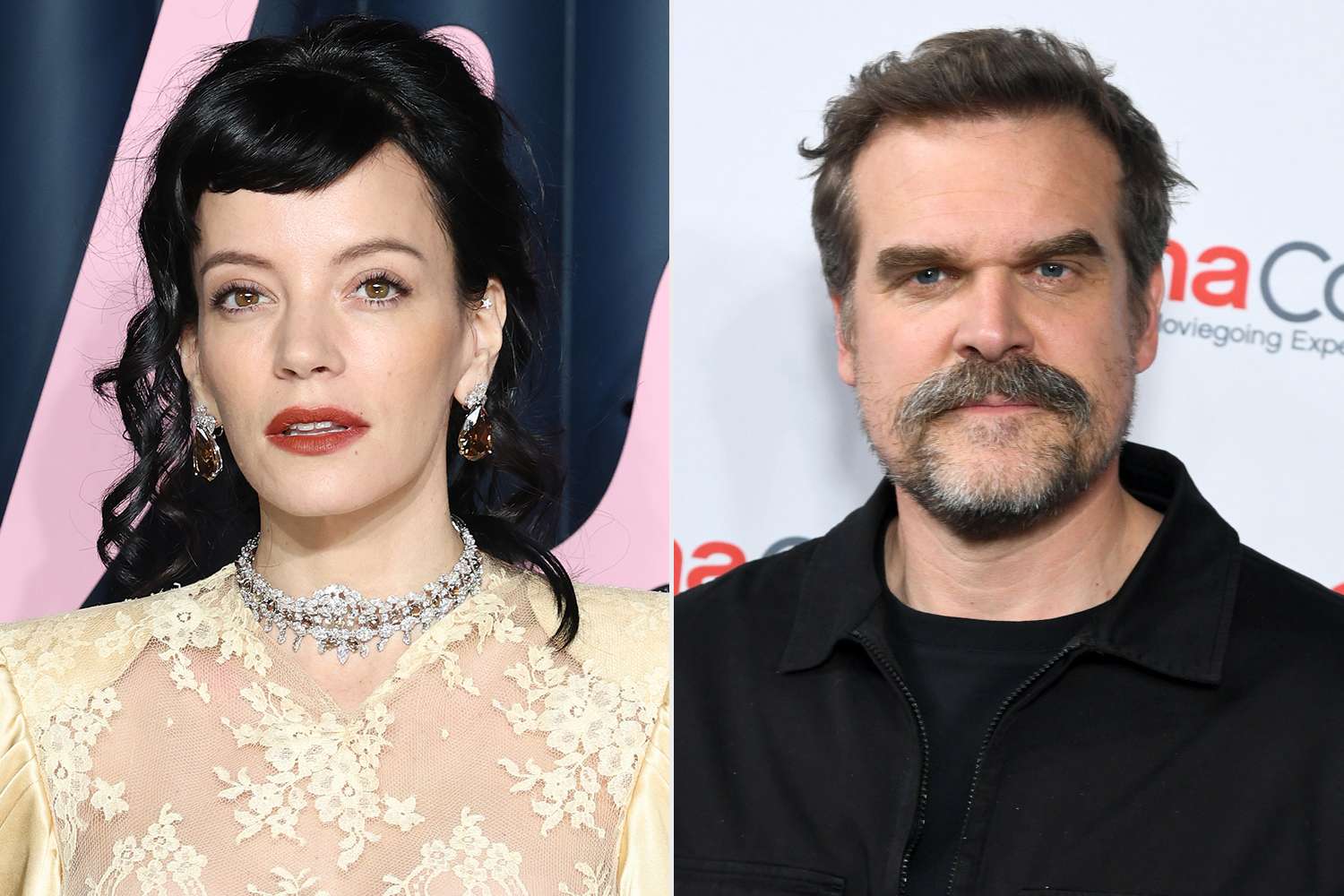 Lily Allen recunoaște durerea provocată în prima căsătorie după despărțirea de David Harbour