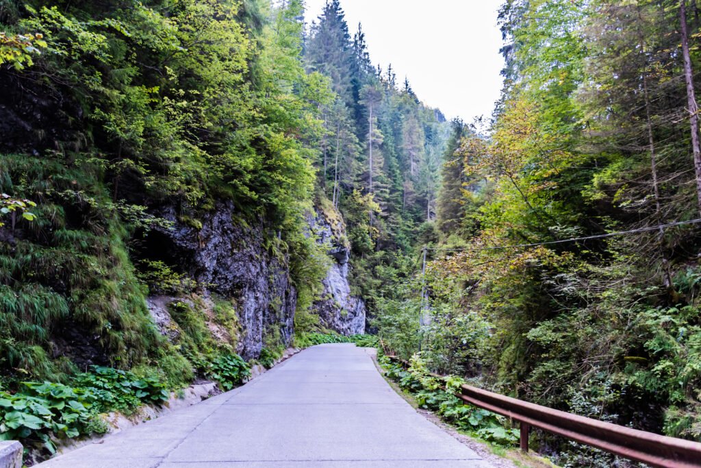 Camion prăbușit de 170 m pe Valea Arpașu Mare, doi bărbați decedați