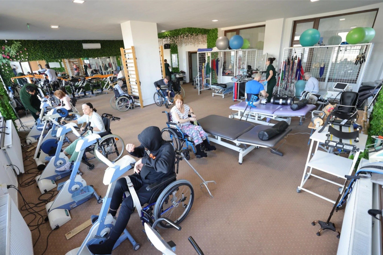 Spitalele din mediul urban mic, transformate în centre de recuperare și paliative, propune Alina Ion