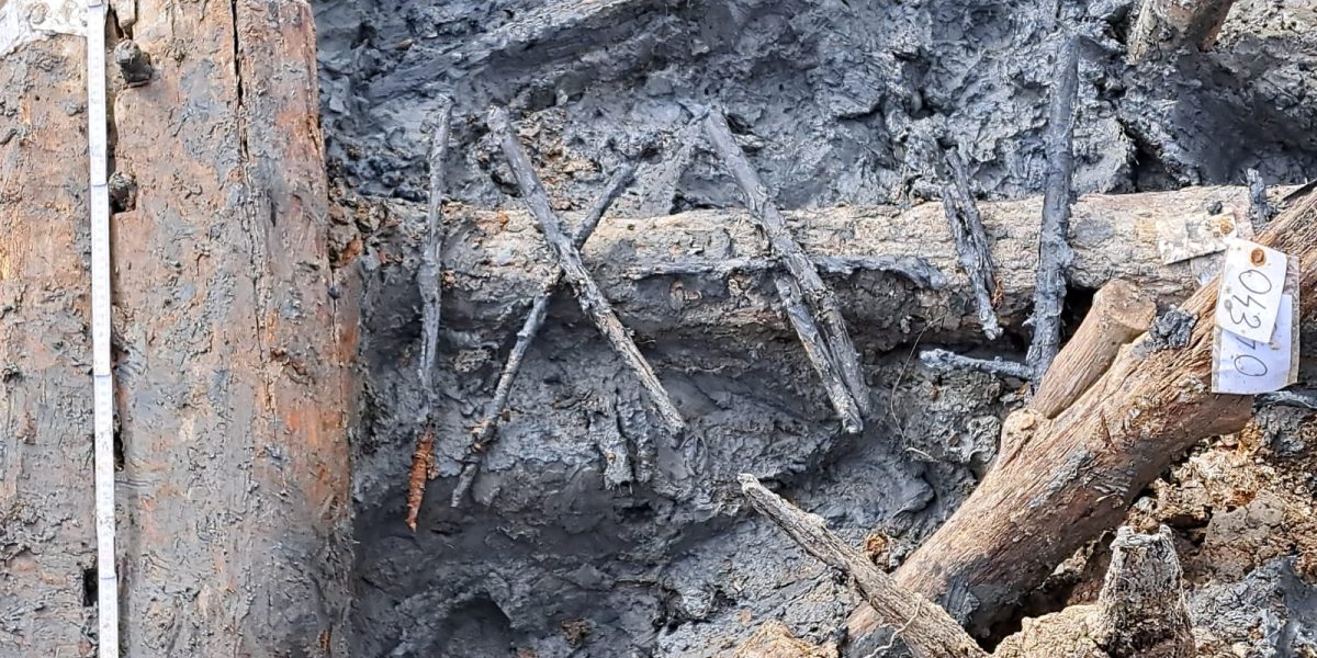 460553236_1033796222088564_3072463959415696088_n.jpg - PressHub24