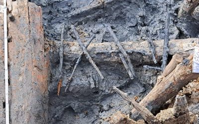 460553236_1033796222088564_3072463959415696088_n.jpg - PressHub24