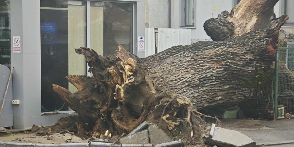 612366909_1202680585346292_3947987245648921325_n.jpg - PressHub24