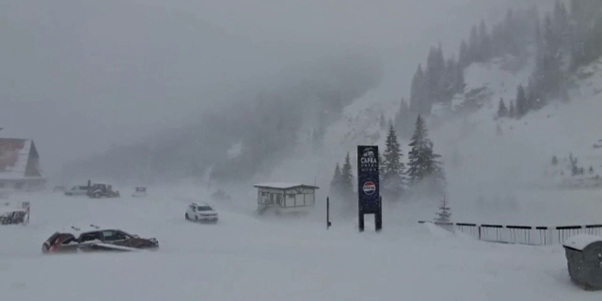 62500391.jpg - PressHub24