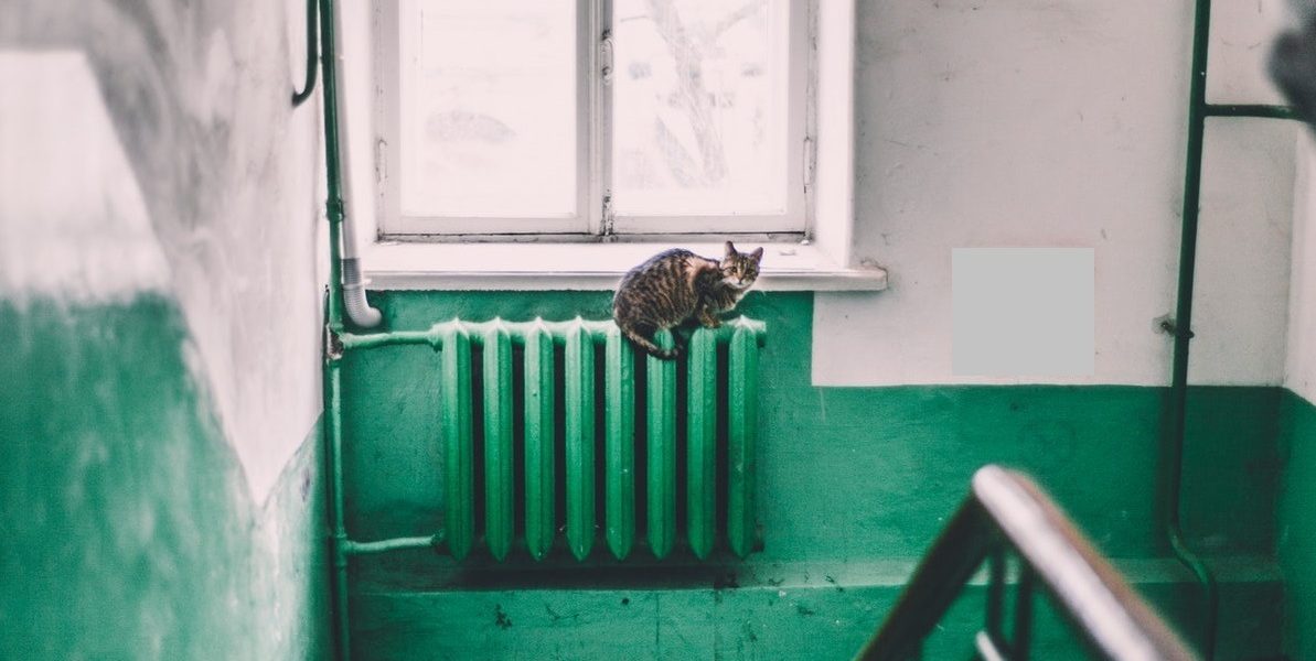 Calorifer-pexels-maria-orlova-4946714.jpg - PressHub24