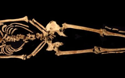 Crucifiedskeletondisplayed-e1639219653158.jpg - PressHub24