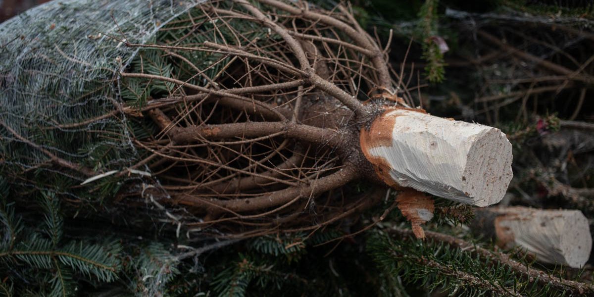 FB1A0664.jpg - PressHub24