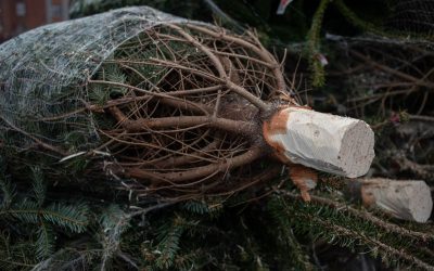 FB1A0664.jpg - PressHub24