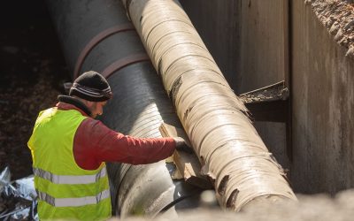 FB1A2184.jpg - PressHub24