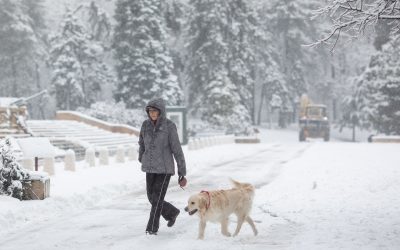 FB1A9678.jpg - PressHub24