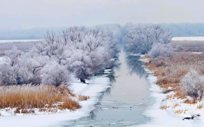 FB_IMG_1611662868008-01-min.jpeg - PressHub24