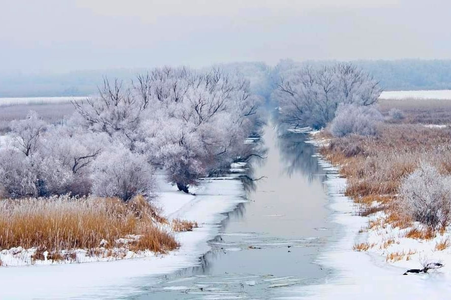 FB_IMG_1611662868008-01-min.jpeg - PressHub24