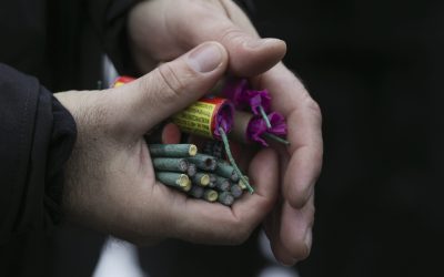 ID129394_INQUAM_Photos_Octav_Ganea.jpg - PressHub24