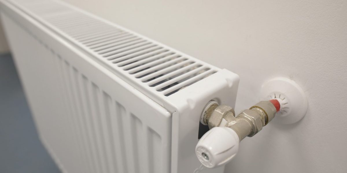 ID181759_INQUAM_Photos_Octav_Ganea-e1637920011420.jpg - PressHub24