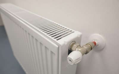 ID181759_INQUAM_Photos_Octav_Ganea-e1637920011420.jpg - PressHub24