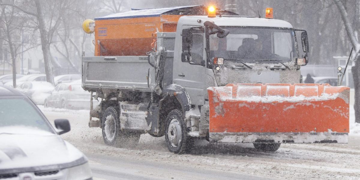 ID86171_INQUAM_Photos_George_Calin-scaled-e1610309816190.jpg - PressHub24