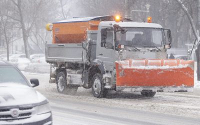 ID86171_INQUAM_Photos_George_Calin-scaled-e1610309816190.jpg - PressHub24