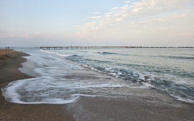 IMG-20251109-WA0019.jpg - PressHub24