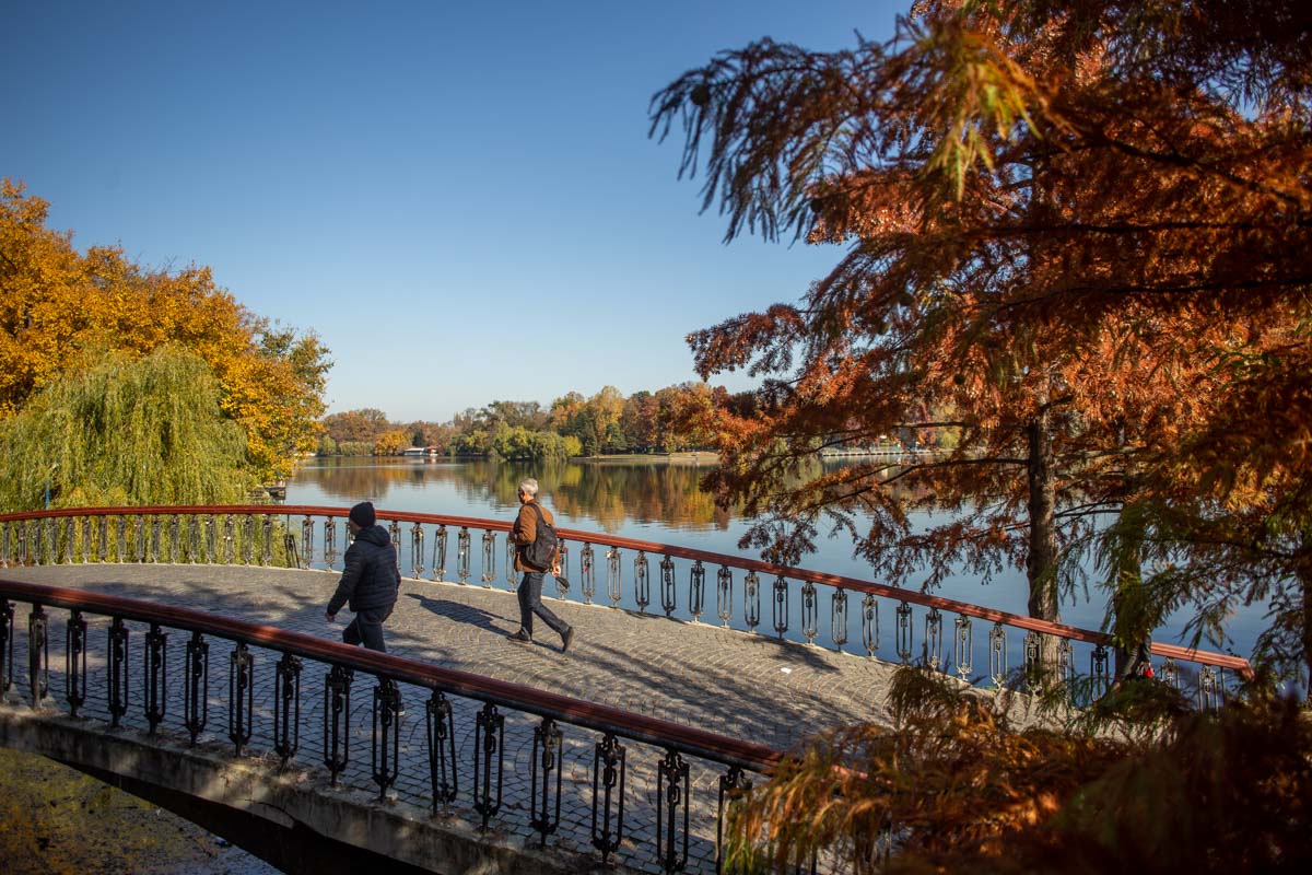 Visați cu ochii deschiși, cheia succesului