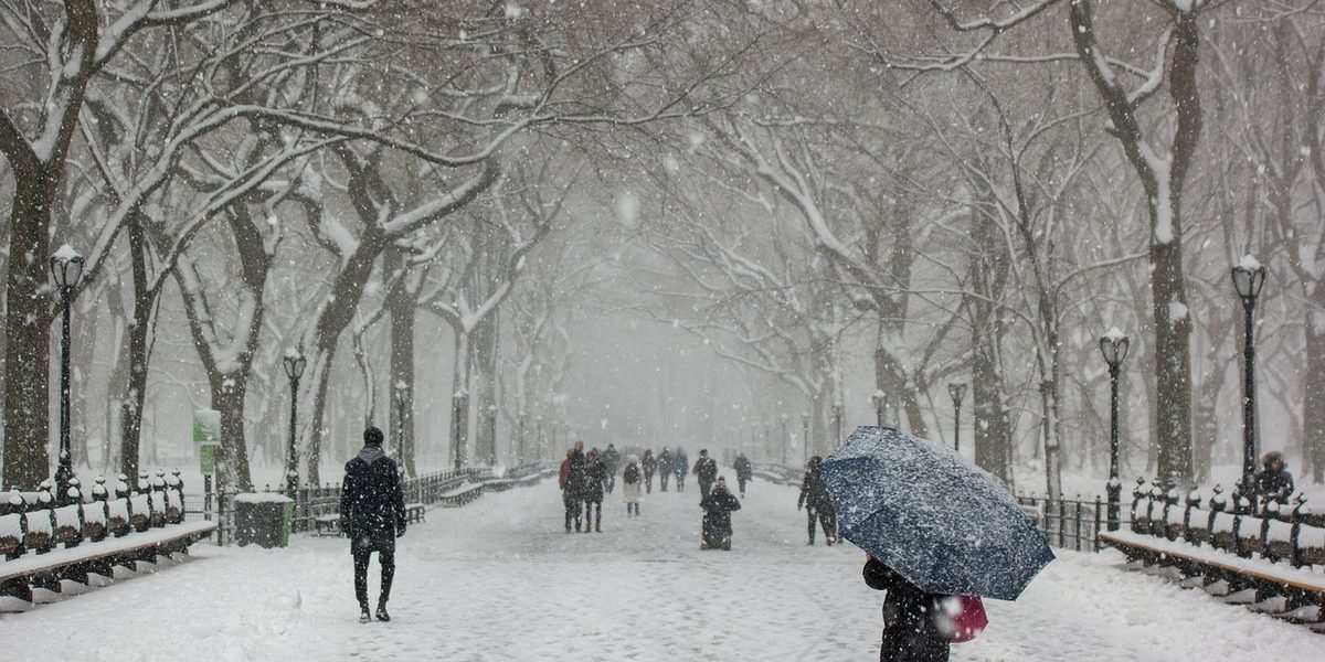 Iarna-Pexels.jpg - PressHub24