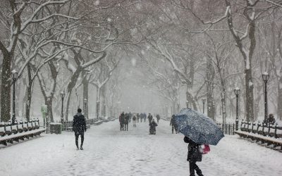 Iarna-Pexels.jpg - PressHub24