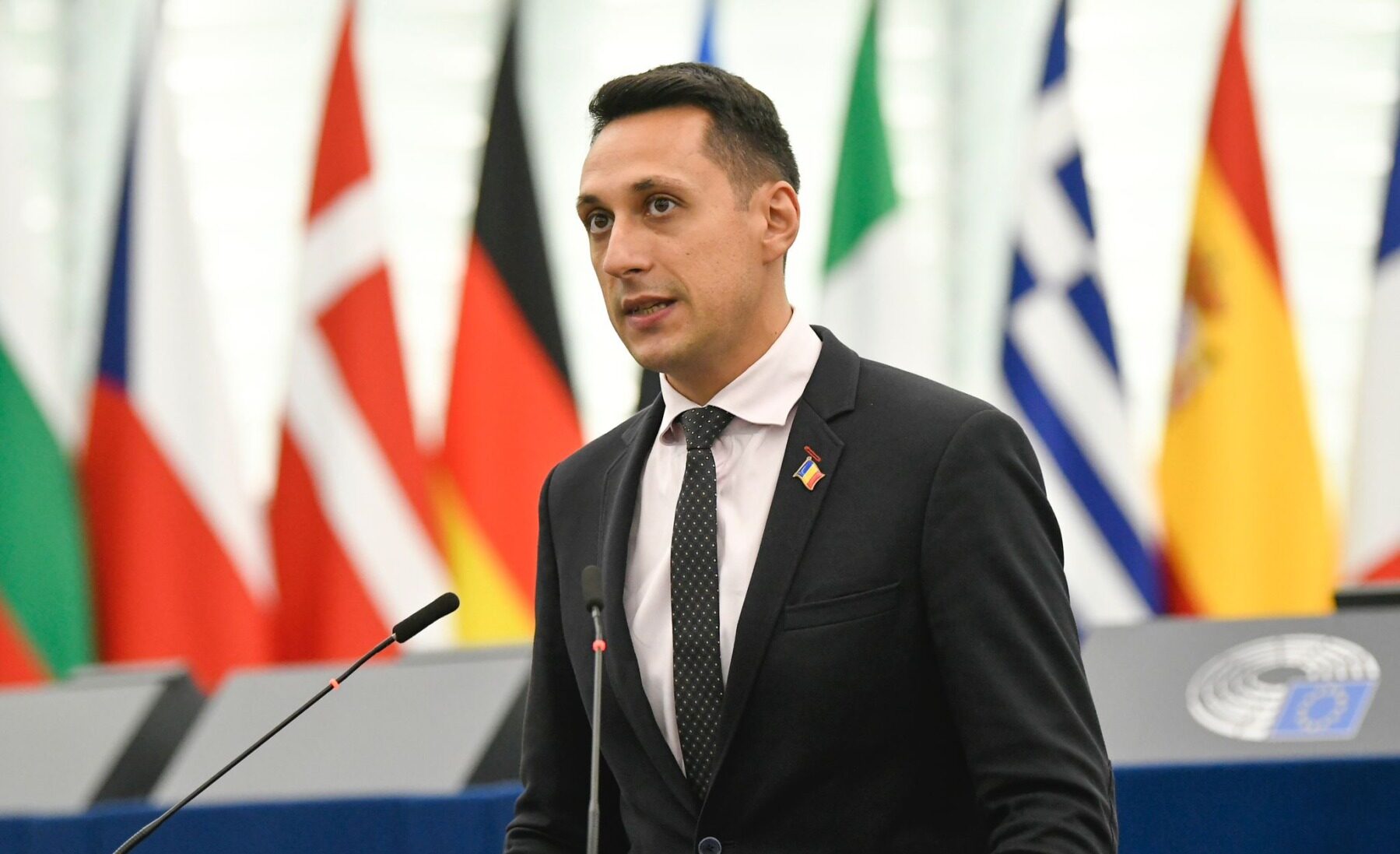 Pudelul gelat de Olt dă lecții de drept