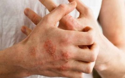 Marketa-Gregorova-1.jpg - PressHub24