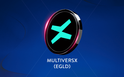 MultiversX_logo.png - PressHub24