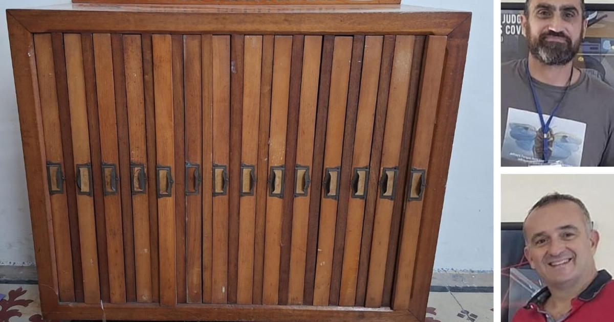 Forgotten inside a Żabbar school library, a window into Malta's botanical past