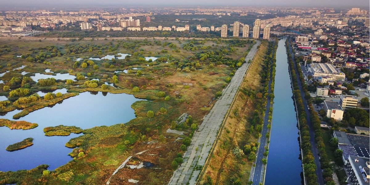 Parcul-Natural-Vacaresti.jpeg - PressHub24