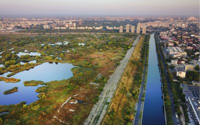 Parcul-Natural-Vacaresti.jpeg - PressHub24
