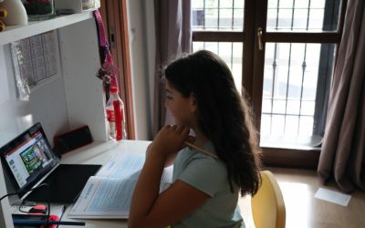 Școlile trec în online din cauza vremii. Cursuri suspendate în mai multe județe, anunță Ministerul Educației