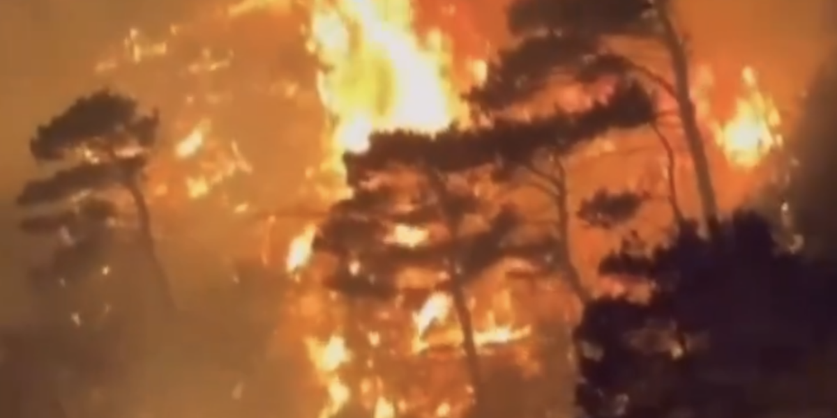 Screenshot-2024-07-10-at-22.52.14.png - PressHub24