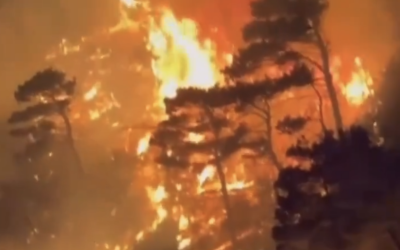 Screenshot-2024-07-10-at-22.52.14.png - PressHub24