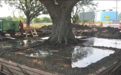 Taiat.jpg - PressHub24