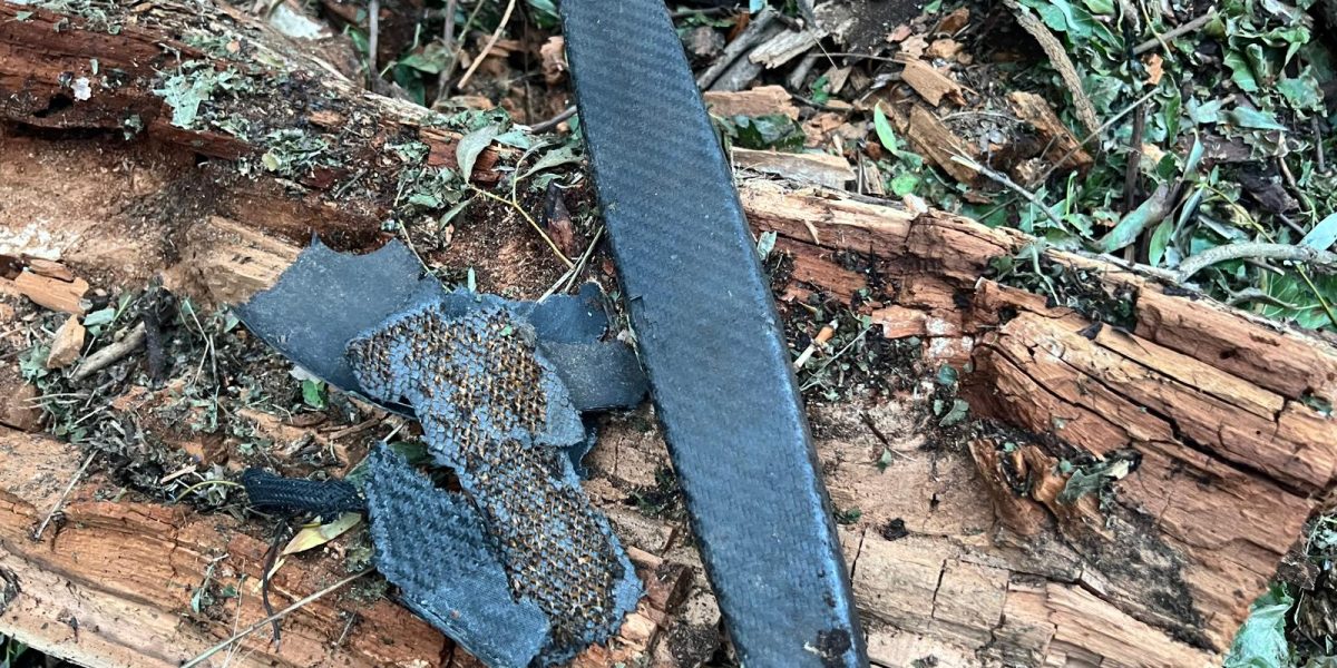 WhatsApp-Image-2024-07-24-at-20.47.44.jpeg - PressHub24