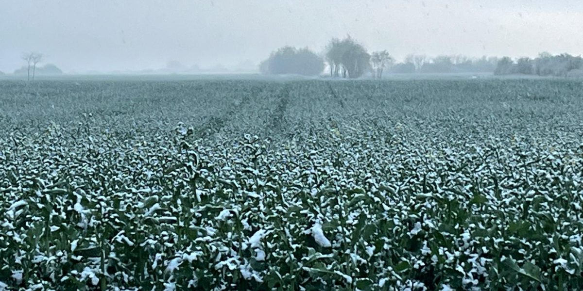 WhatsApp-Image-2025-04-07-at-19.45.18.jpeg - PressHub24