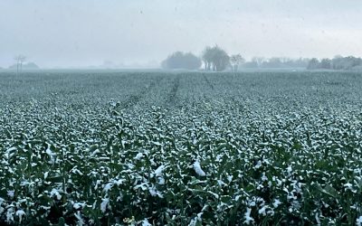 WhatsApp-Image-2025-04-07-at-19.45.18.jpeg - PressHub24