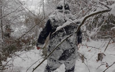 WhatsApp-Image-2026-01-09-at-21.04.03.jpeg - PressHub24