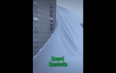 WhatsApp-Image-2026-01-20-at-15.10.56-1.jpeg - PressHub24