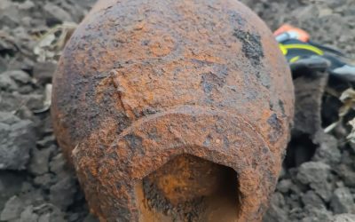 ada-4-noiembrie-2023-058.jpeg - PressHub24